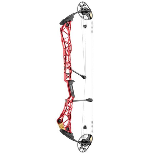 Mathews Title 36 (Black Limbs) (2024) - A (30.5in)