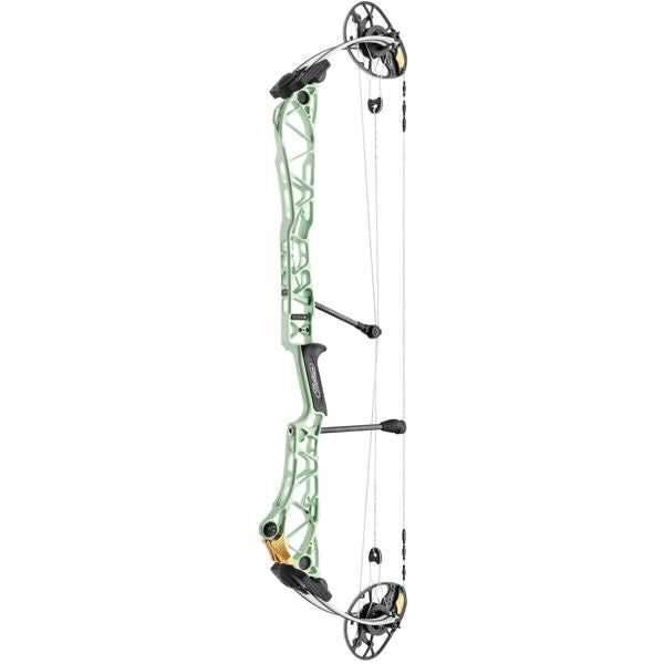 Mathews Title 38 (Black Limbs) (2024) - F (29in)